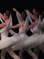 lores_ballerina_dance_tutu_swan_perform_art_together_mb